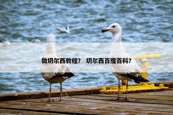 做切尔西教程？ 切尔西百度百科？