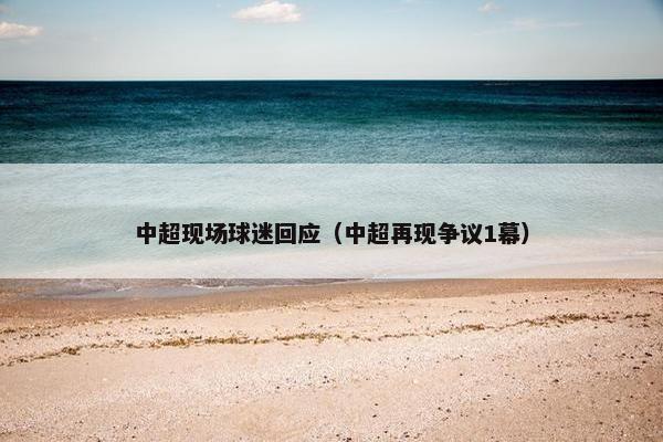 中超现场球迷回应（中超再现争议1幕）