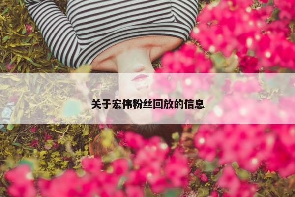 关于宏伟粉丝回放的信息
