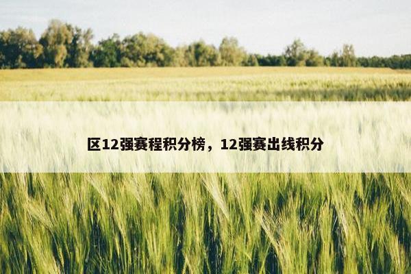 区12强赛程积分榜，12强赛出线积分