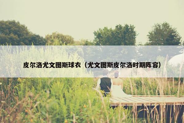 皮尔洛尤文图斯球衣（尤文图斯皮尔洛时期阵容）