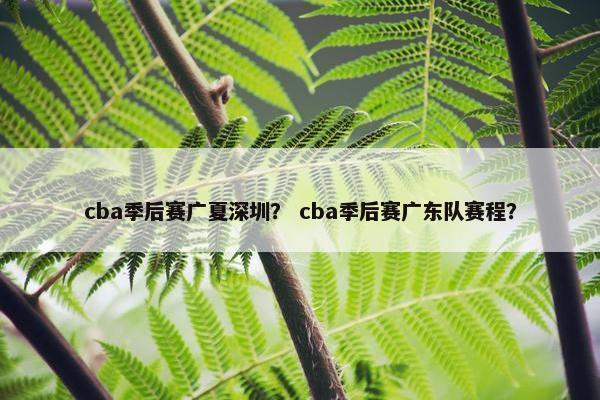 cba季后赛广夏深圳？ cba季后赛广东队赛程？