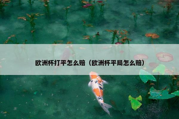 欧洲杯打平怎么赔（欧洲杯平局怎么赔）