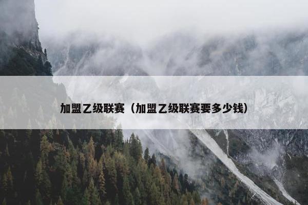加盟乙级联赛（加盟乙级联赛要多少钱）