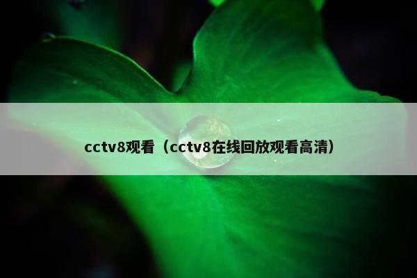 cctv8观看（cctv8在线回放观看高清）