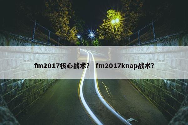 fm2017核心战术？ fm2017knap战术？