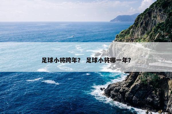 足球小将跨年？ 足球小将哪一年？