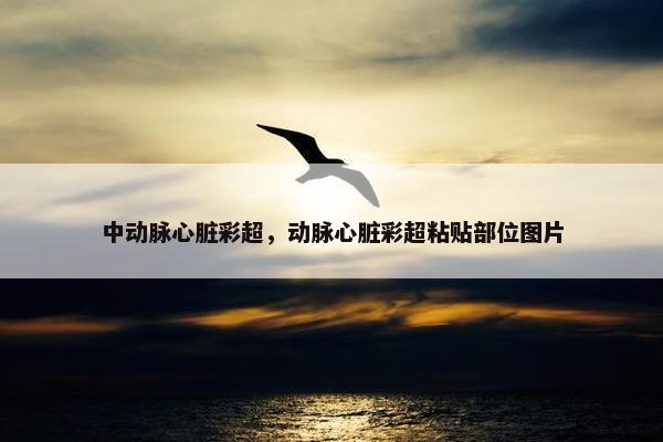 中动脉心脏彩超，动脉心脏彩超粘贴部位图片