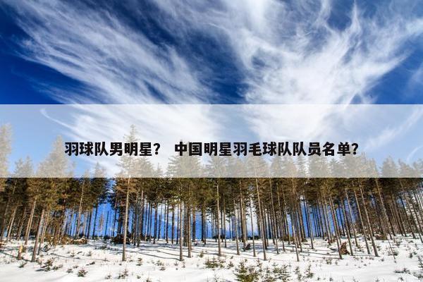 羽球队男明星？ 中国明星羽毛球队队员名单？