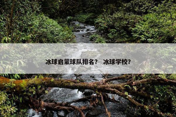 冰球启蒙球队排名？ 冰球学校？