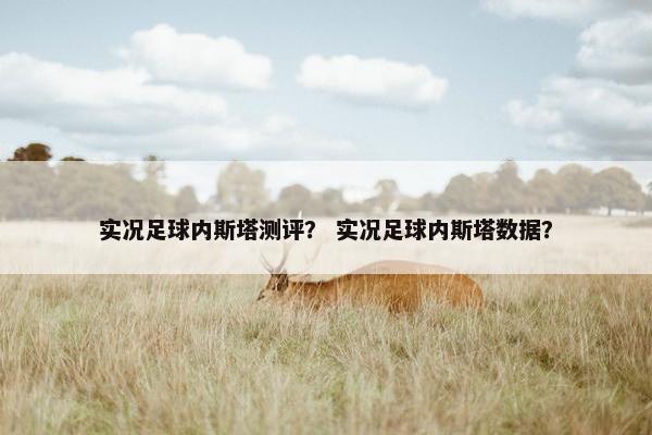实况足球内斯塔测评？ 实况足球内斯塔数据？