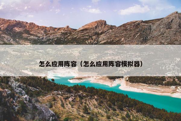 怎么应用阵容（怎么应用阵容模拟器）