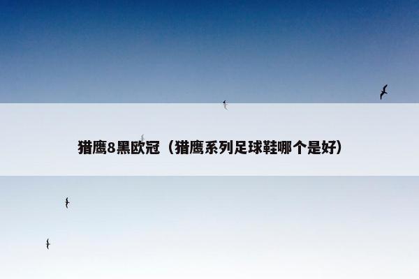 猎鹰8黑欧冠（猎鹰系列足球鞋哪个是好）