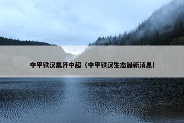 中甲铁汉集齐中超（中甲铁汉生态最新消息）