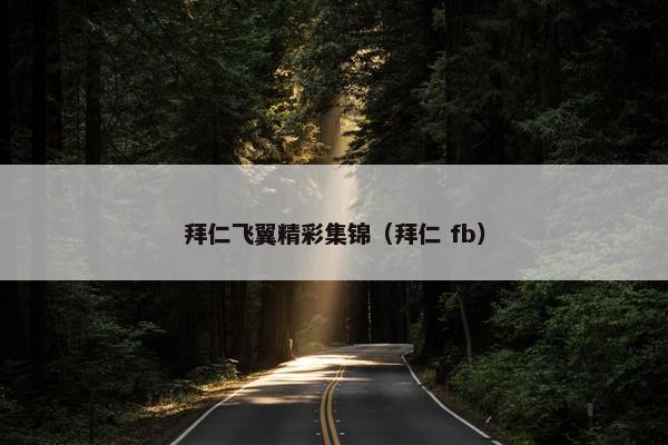 拜仁飞翼精彩集锦（拜仁 fb）