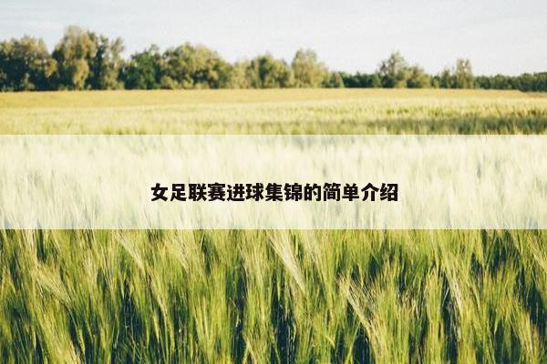 女足联赛进球集锦的简单介绍