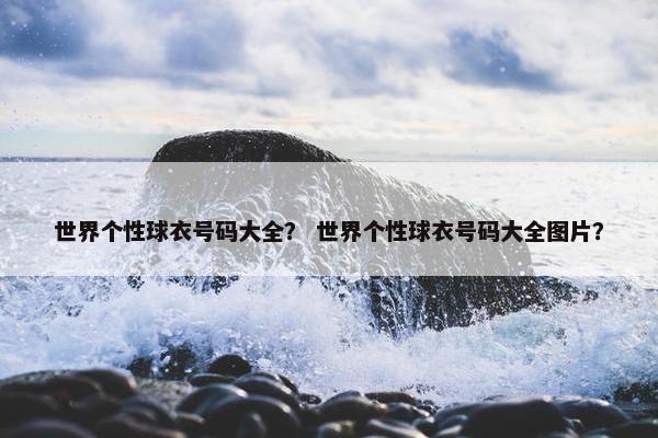 世界个性球衣号码大全？ 世界个性球衣号码大全图片？