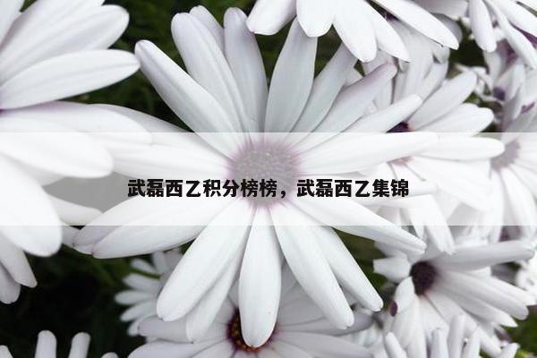 武磊西乙积分榜榜，武磊西乙集锦