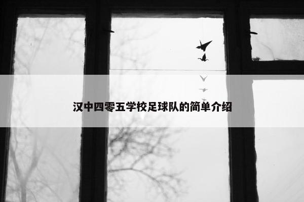汉中四零五学校足球队的简单介绍