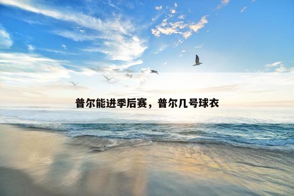 普尔能进季后赛，普尔几号球衣