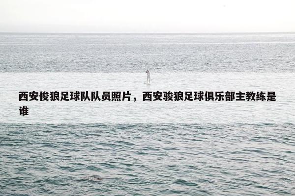 西安俊狼足球队队员照片，西安骏狼足球俱乐部主教练是谁
