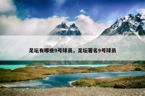 足坛有哪些9号球员，足坛著名9号球员