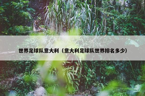 世界足球队意大利（意大利足球队世界排名多少）