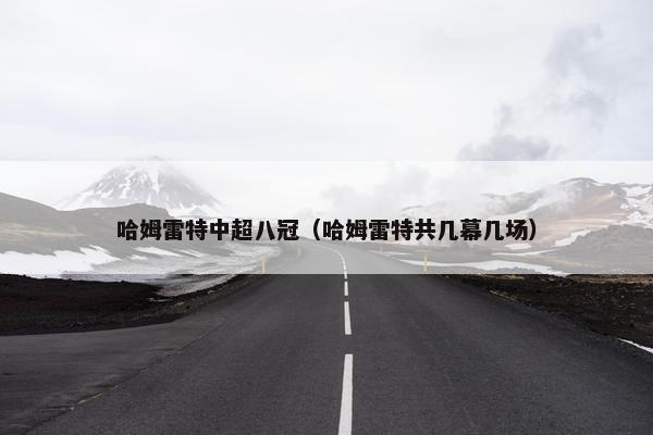 哈姆雷特中超八冠（哈姆雷特共几幕几场）