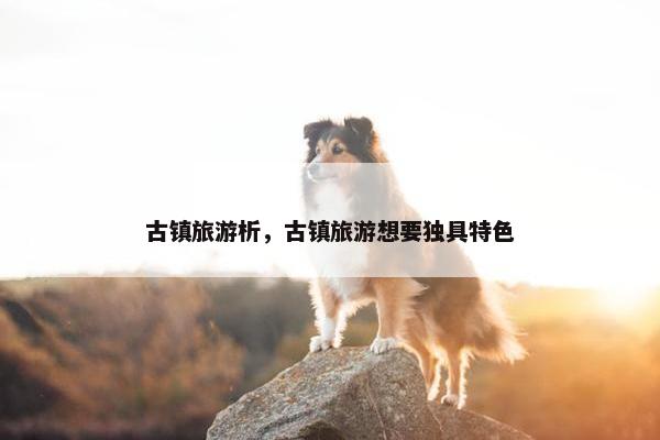 古镇旅游析，古镇旅游想要独具特色