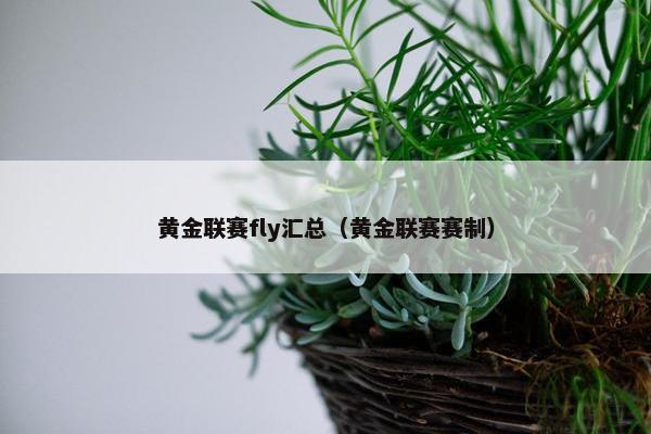 黄金联赛fly汇总（黄金联赛赛制）