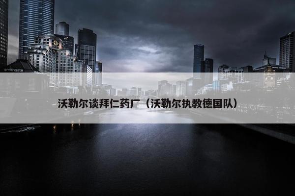沃勒尔谈拜仁药厂（沃勒尔执教德国队）