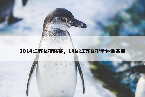 2014江苏女排联赛，14届江苏女排全运会名单