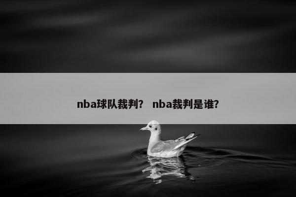 nba球队裁判？ nba裁判是谁？