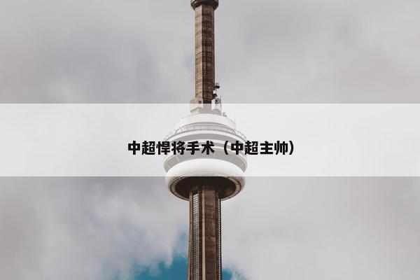 中超悍将手术（中超主帅）