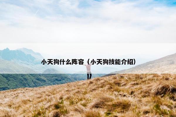 小天狗什么阵容（小天狗技能介绍）