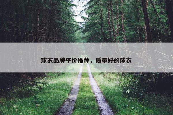 球衣品牌平价推荐，质量好的球衣