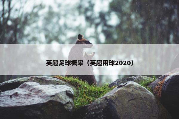 英超足球概率（英超用球2020）