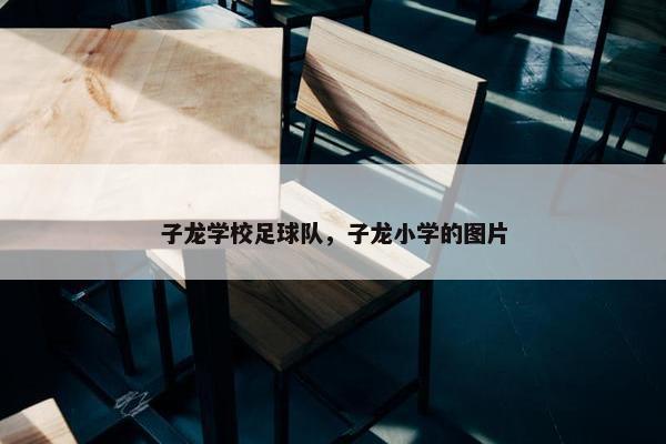 子龙学校足球队，子龙小学的图片
