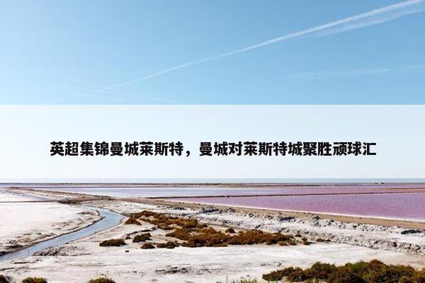 英超集锦曼城莱斯特，曼城对莱斯特城聚胜顽球汇