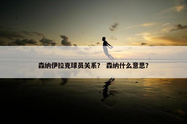 森纳伊拉克球员关系？ 森纳什么意思？