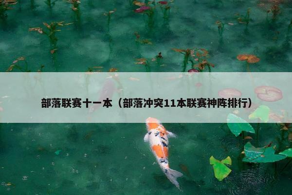 部落联赛十一本（部落冲突11本联赛神阵排行）