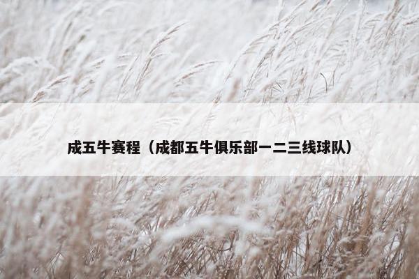 成五牛赛程（成都五牛俱乐部一二三线球队）