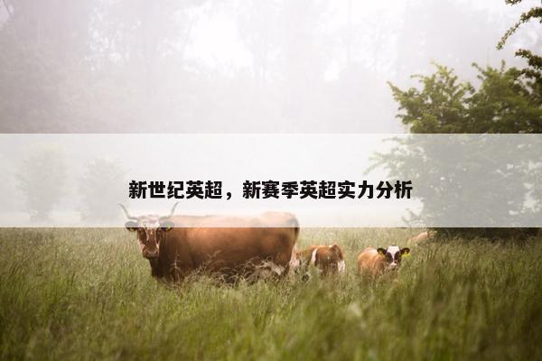 新世纪英超，新赛季英超实力分析