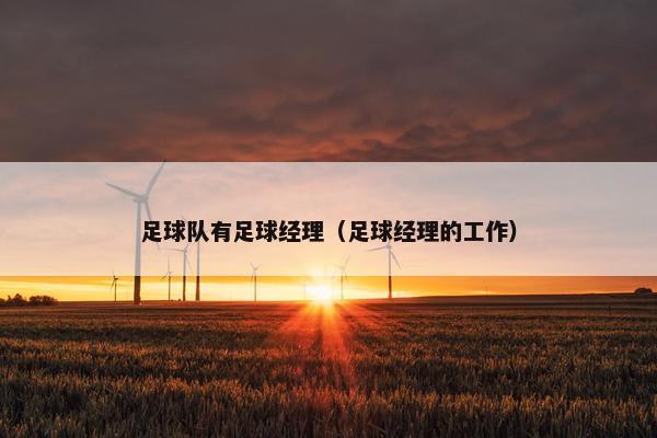 足球队有足球经理（足球经理的工作）