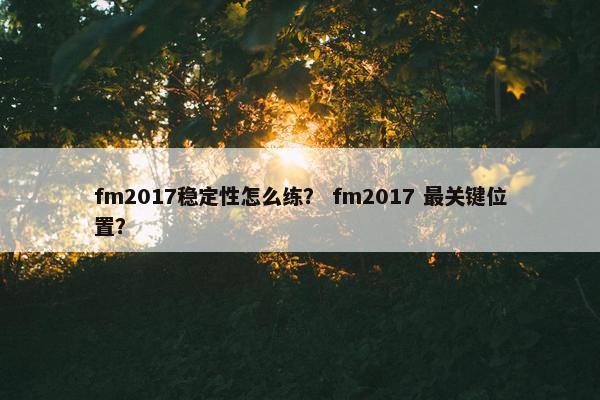 fm2017稳定性怎么练？ fm2017 最关键位置？