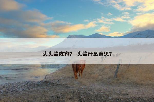 头头酱阵容？ 头酱什么意思？