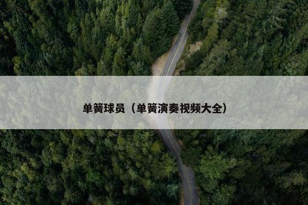 单簧球员（单簧演奏视频大全）