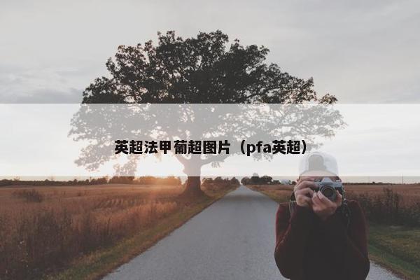 英超法甲葡超图片（pfa英超）