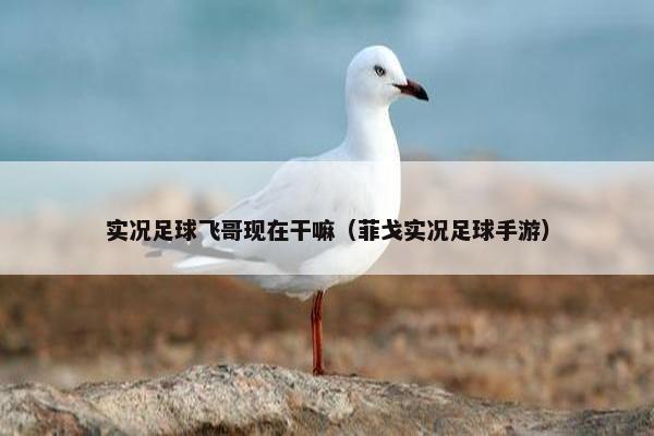 实况足球飞哥现在干嘛（菲戈实况足球手游）