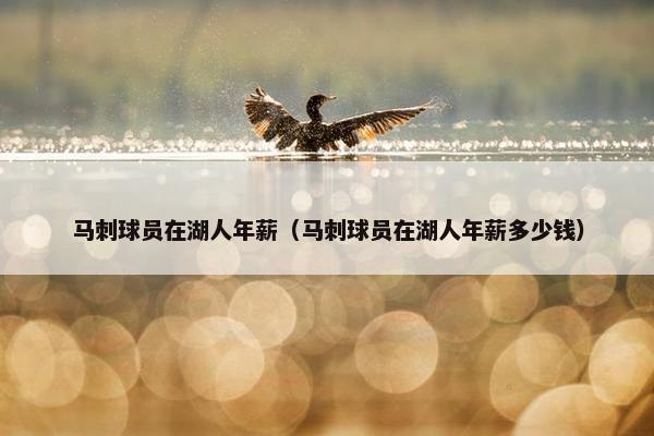 马刺球员在湖人年薪（马刺球员在湖人年薪多少钱）